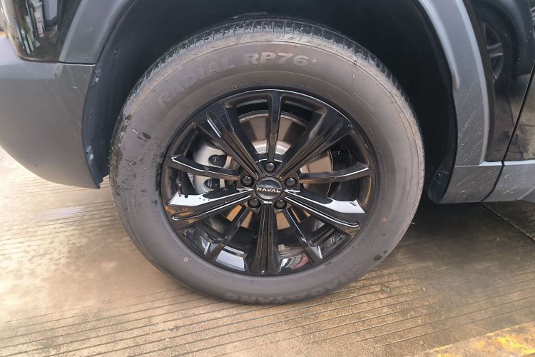 Haval Raptor New Energy 2024 #9 Haval Raptor New Energy 2024 car image #9