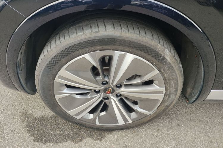 HongQi E-HS9 2022 #9 HongQi E-HS9 2022 car image #9