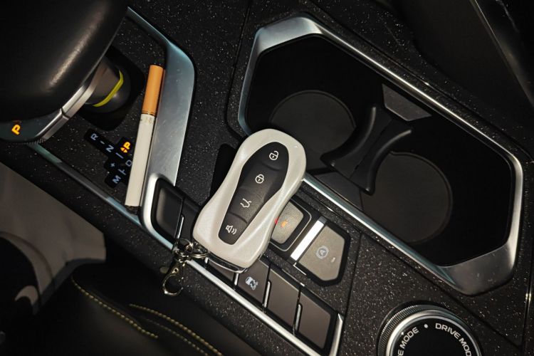 GEELY Tugella S 2022 immagine di auto #9