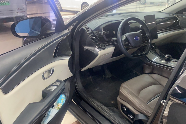 BYD e9 2021 car image #9