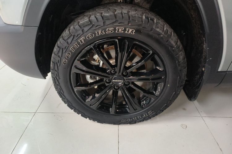 Haval Raptor 2024 immagine di auto #9