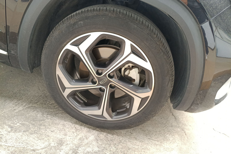 GEELY Tugella 2022 car image #9