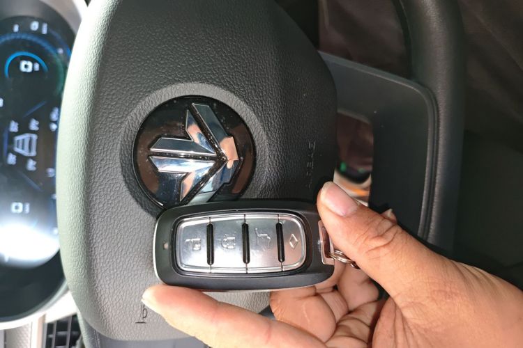 Livan Maple 60S 2023 imagen de coche #9