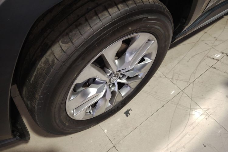 Toyota Wildlander 2022 imagem de carro #9