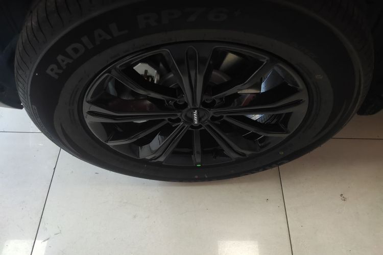 Haval Raptor New Energy 2025 #9 Haval Raptor New Energy 2025 car image #9