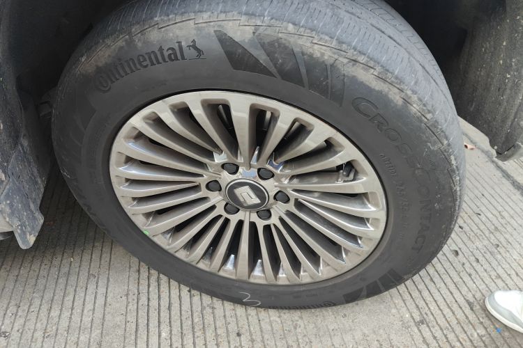 Tank 500 2023 car image #9