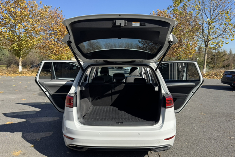 Volkswagen Golf Sportsvan 2020 car image #9