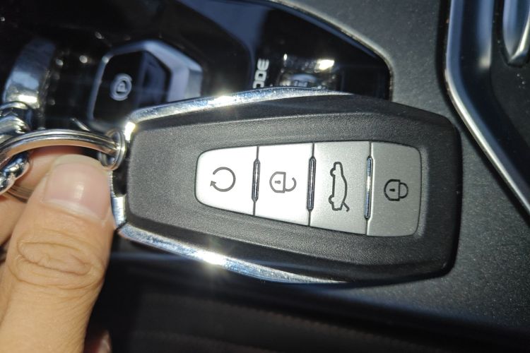 GEELY OkavangoR7 2023 car image #9