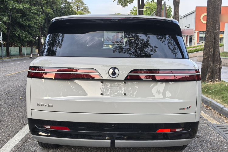 Denza N9 car image #9