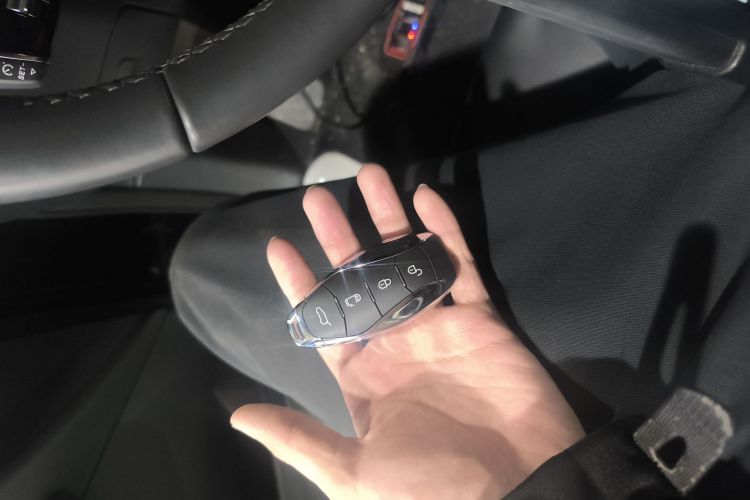 HongQi HQ9 PHEV 2024 #9 HongQi HQ9 PHEV 2024 car image #9