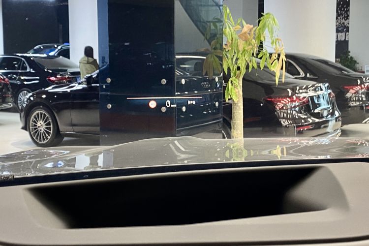 BMW X7 M60i 2024 car image #9