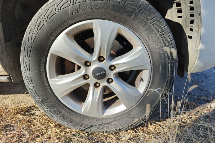 Haval H9 2020 car image #9