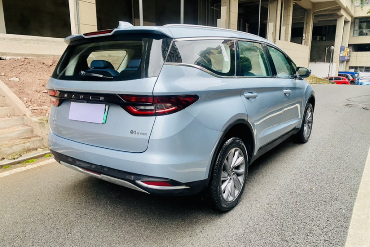 睿蓝汽车 枫叶80v PRO 2023 汽车图片 #9