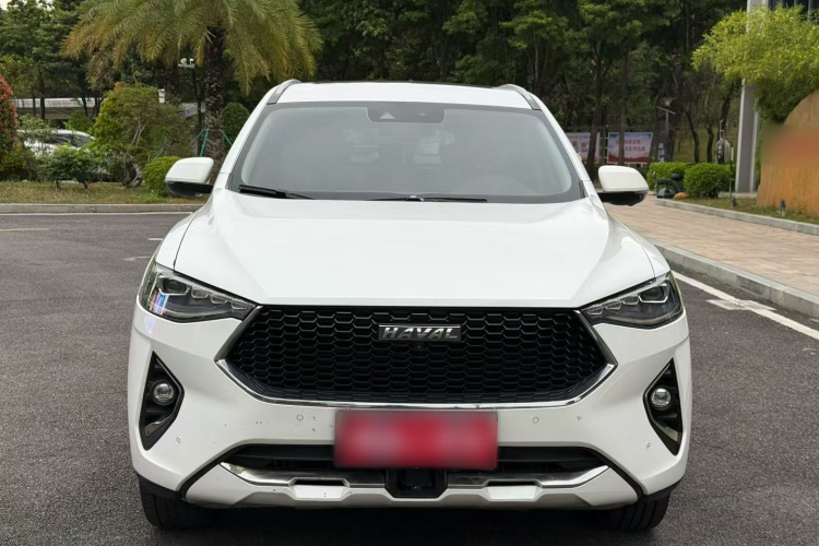 Haval F7 2019 image de voiture #9