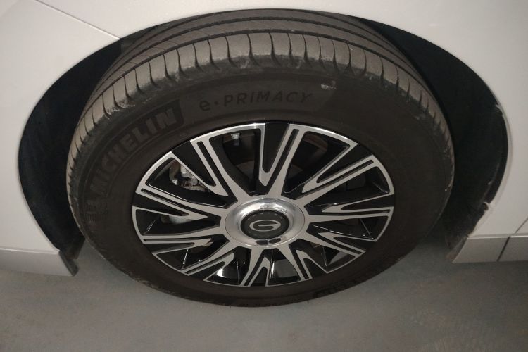 GAC Trumpchi E9 2024 car image #9