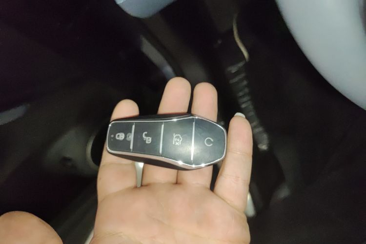 BYD Sea Lion 07 DM-i 2025 car image #9