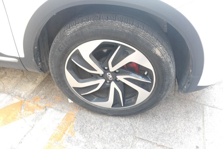 Showjet Pro 2021 imagen de coche #9