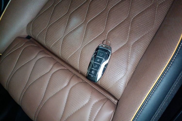 BYD Tang New Energy 2022 #9 BYD Tang New Energy 2022 car image #9