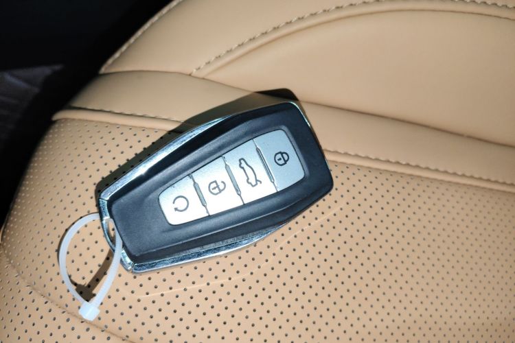 GEELY Monjaro MHEV 2024 #9 GEELY Monjaro MHEV 2024 immagine di auto #9