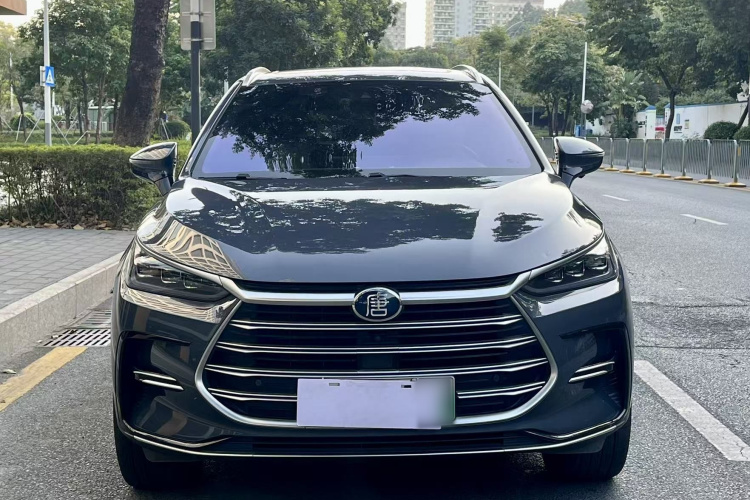 BYD Tang New Energy 2021 immagine di auto #9
