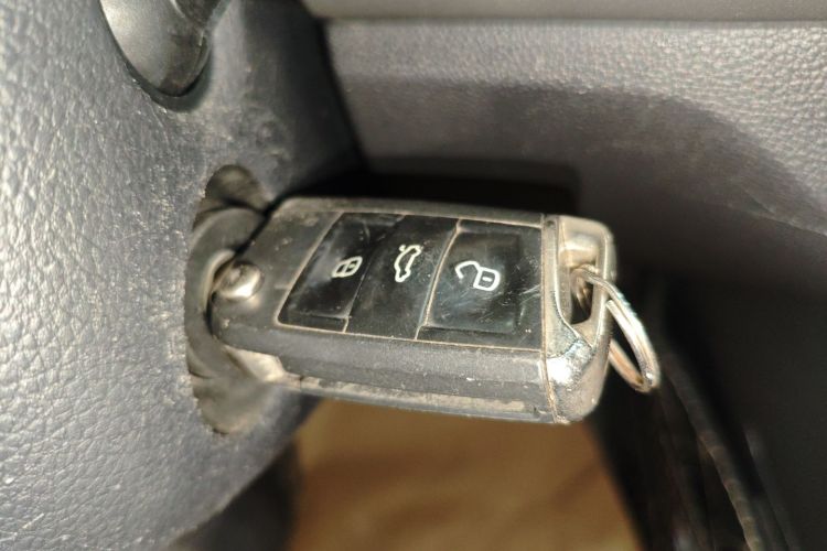 大众 朗逸 2020 汽车图片 #9