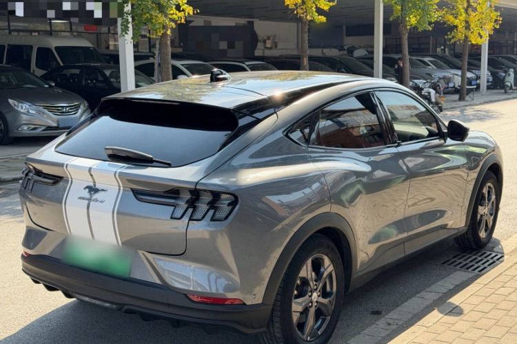 Ford Mustang Mach-E 2023 car image #9