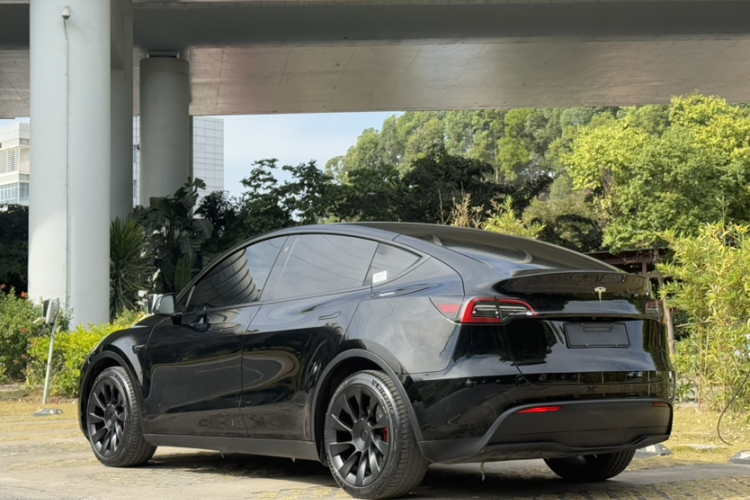 Tesla Model Y 2021 #9 Tesla Model Y 2021 car image #9