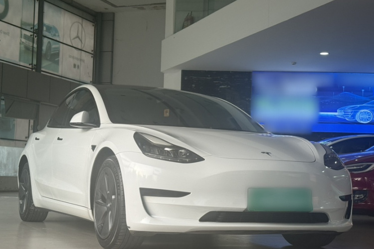 Tesla Model 3 2022 #9 Tesla Model 3 2022 صورة سيارة #9