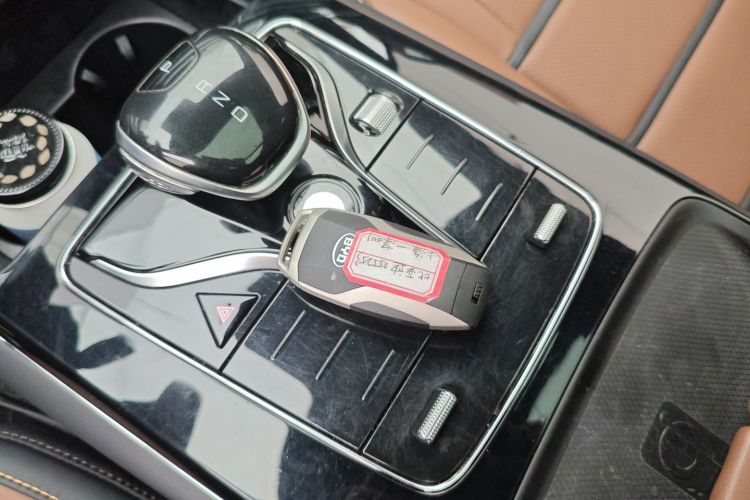 BYD Tang New Energy 2021 car image #9