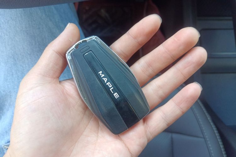 睿蓝汽车 枫叶80v 2021 汽车图片 #9