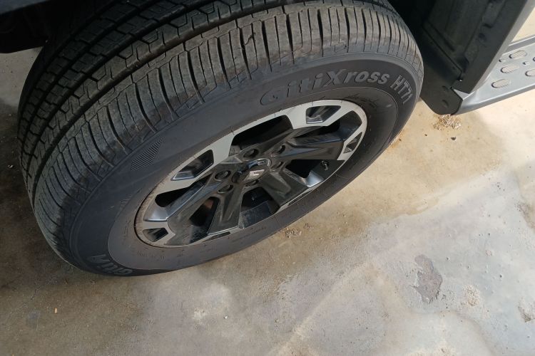 Tank 300 New Energy 2025 car image #9