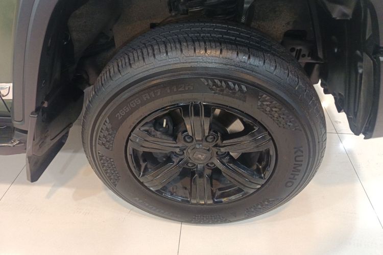 Tank 300 2022 car image #9