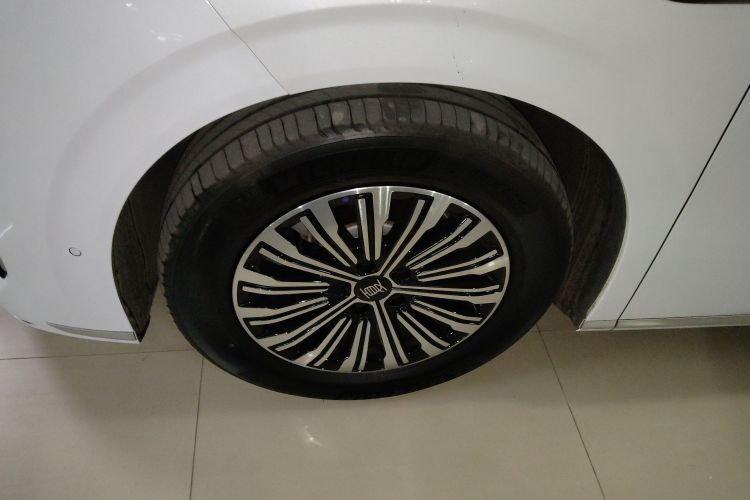 BYD Xia 2024 #9 BYD Xia 2024 immagine di auto #9