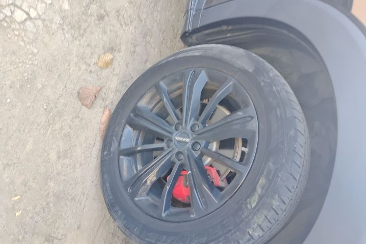 Haval H6S 2022 car image #9