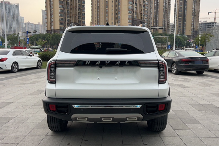 Great Wall X Dog / Dargo 2022 car image #9