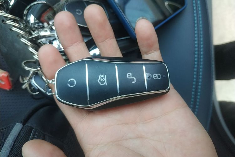 BYD Sea Lion 07 DM-i 2025 car image #9