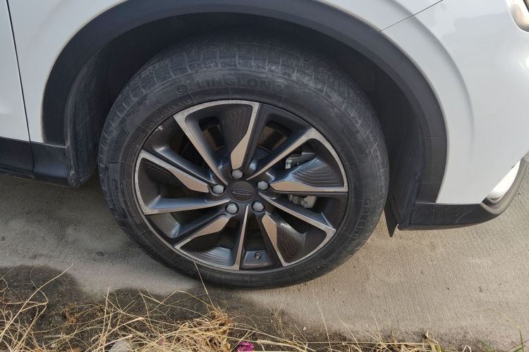 Coolray New Energy 2019 image de voiture #9