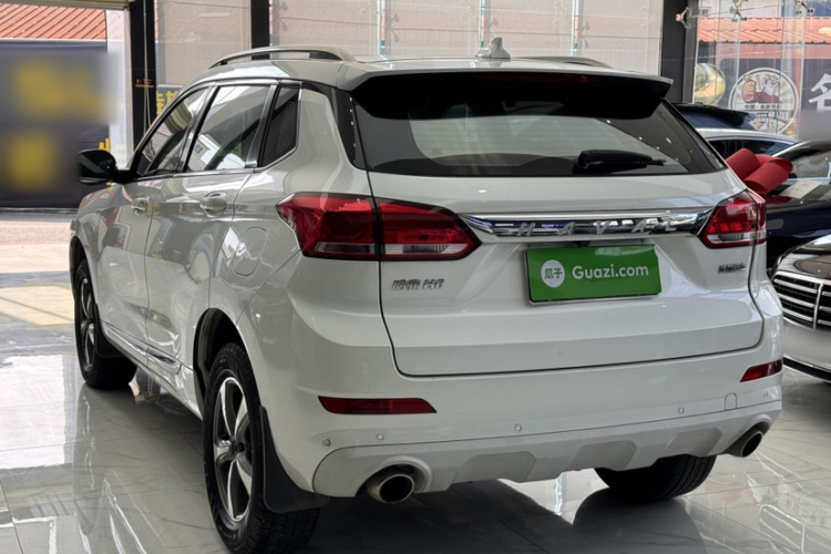 Haval H6 Coupe 2019 immagine di auto #9
