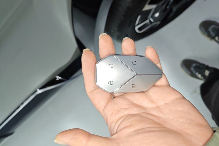 FangChengBao Leopard 8 2024 #9 FangChengBao Leopard 8 2024 imagen de coche #9