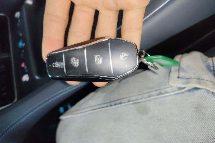 BYD Sea Lion 07 DM-i 2025 car image #9