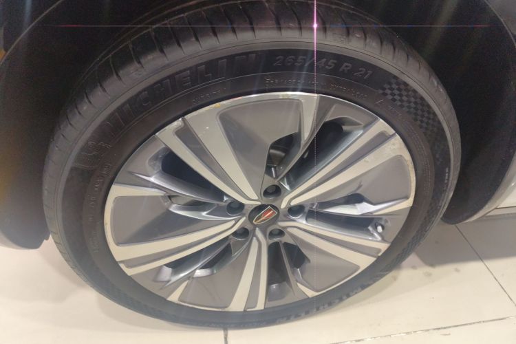 HongQi E-HS9 2021 immagine di auto #9