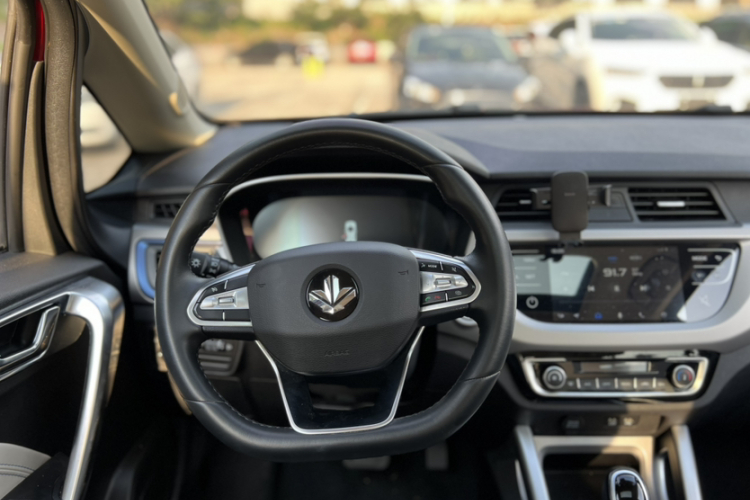 睿蓝汽车 枫叶30X 2021 汽车图片 #9