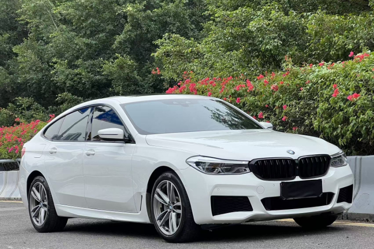BMW 6 Series GT 2019 car image #9