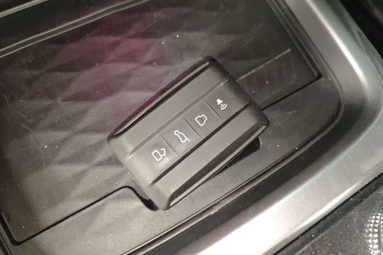 Tank 300 2022 car image #9