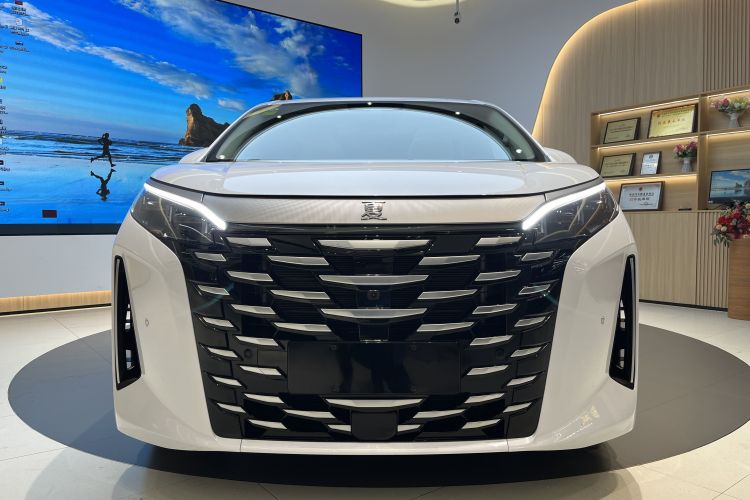 BYD Xia 2025 #9 BYD Xia 2025 immagine di auto #9