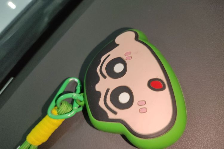 Tank 300 New Energy 2024 car image #9