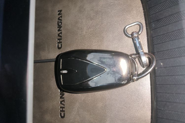 Changan Lamore 2023 imagem de carro #9