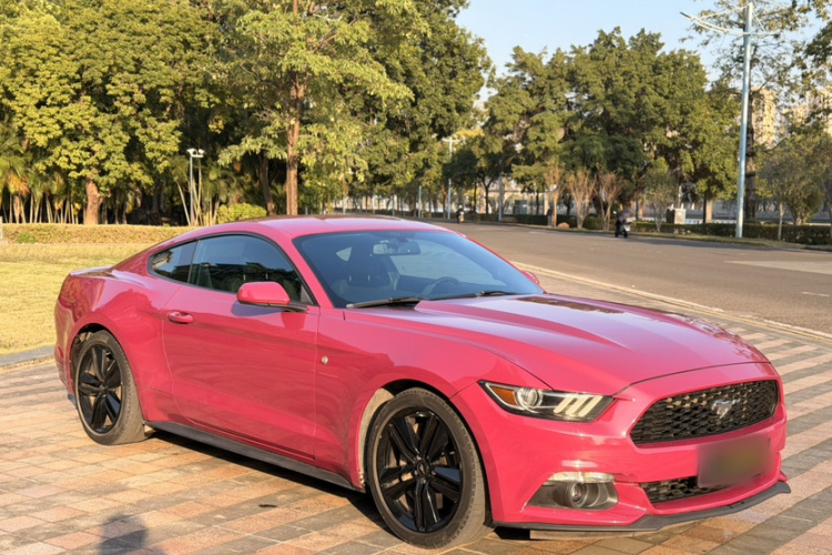 Ford 2015 car image #9