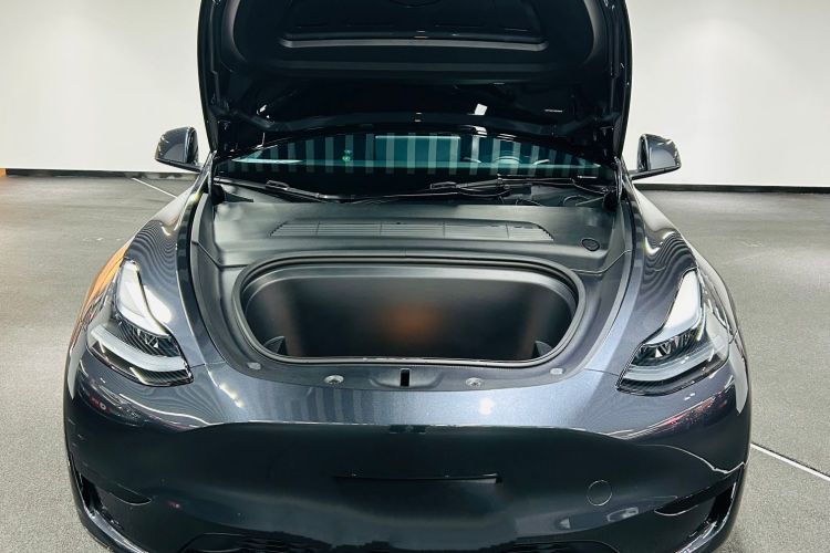 Tesla Model Y 2024 car image #9