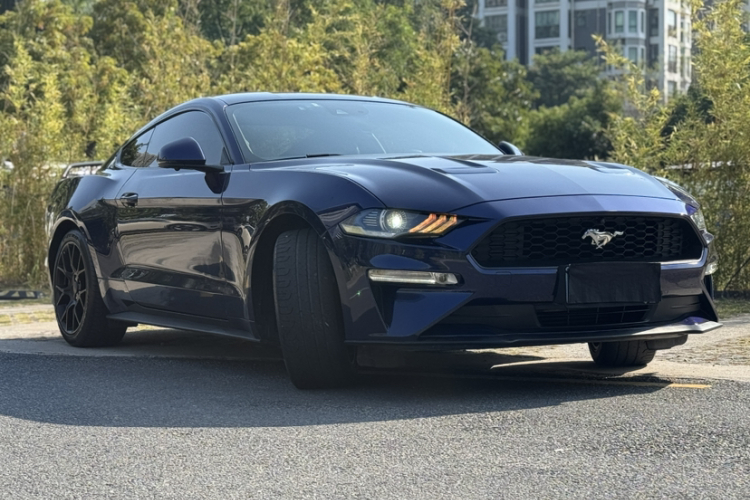 Ford Mustang 2020 car image #9